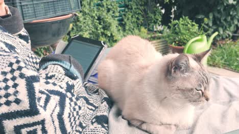 woman reading ebook with domestic cat lying on legs