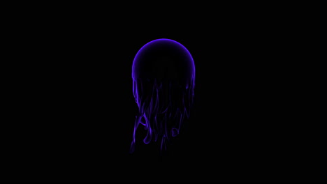 glowing jellyfish elegant bioluminescent creature in the dark