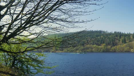 Lady-bower-reservoir-with-beatiful-green-vibrant-summer-tree-spring-summer-sunny-day-clear-skies-peak-district-calm-waves-shot-in-4K