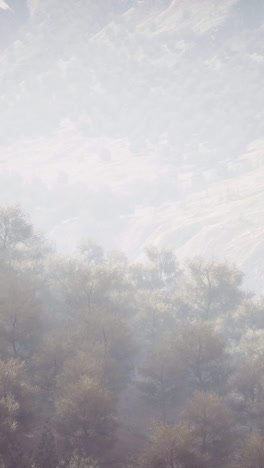 misty mountain forest landscape