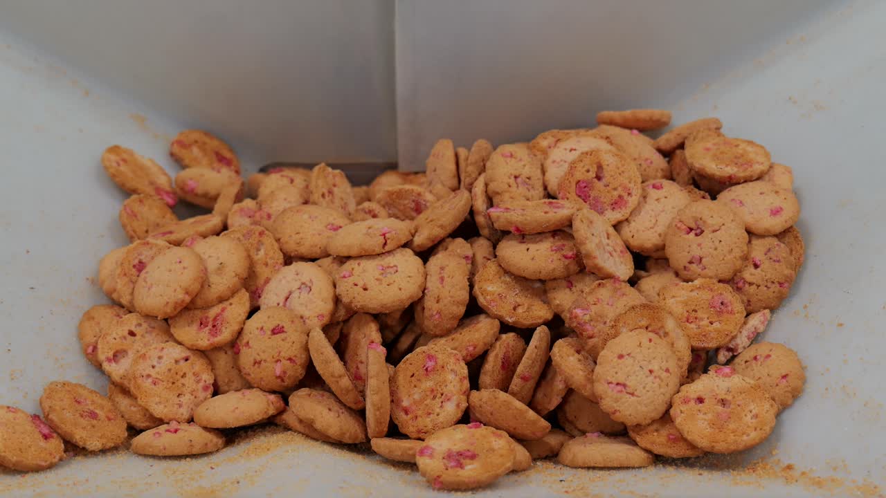 Close-up de pequenos biscoitos de praliné descendo dentro de uma máquina de alimentos industrial num ambiente de produção de padaria francesa