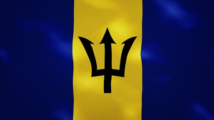 Tessuto denso della bandiera delle Barbados che sventola, sfondo in loop.