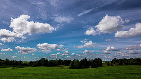 white fluffy clouds grow and rise in blue sky above grassy meadow and forest, time lapse