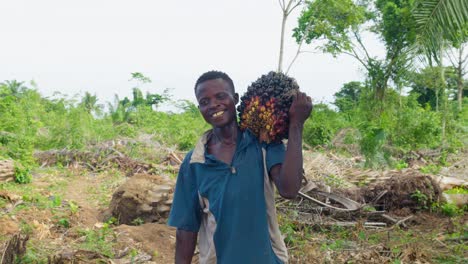 young smiling african black male farmer carrying coconut on his shoulder looking in to camera in africa