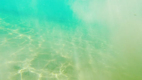 swimming in rays of sunlight and floating sand in shallow teal lake, wide pov underwater dolly in