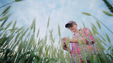 Una-Mujer-Agrónoma-Estudiando-Brotes-De-Trigo-Disparando-ángulo-Inferior