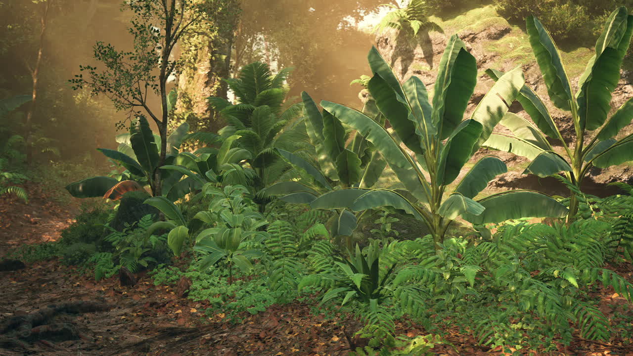 Lush tropical forest with vibrant foliage and sunlight filtering through trees