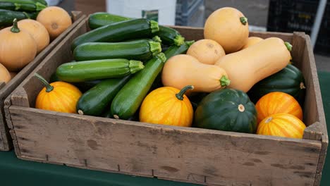 a bounty of fresh vegetables displayed in rustic crates: an abundant selection of squash and zucchini showcased at a vibrant market stand