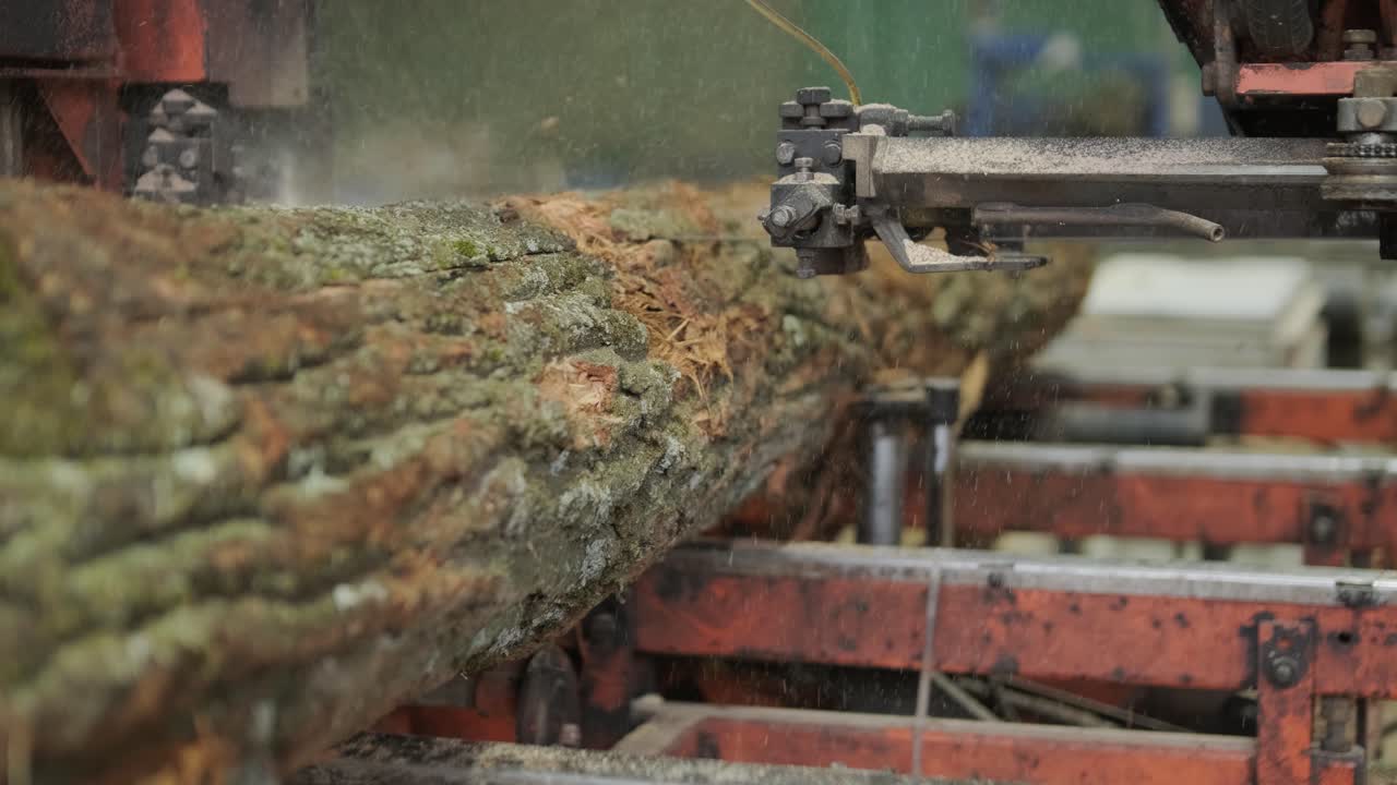 Serra de Fita Industrial Cortando um Grande Torete em uma Serraria