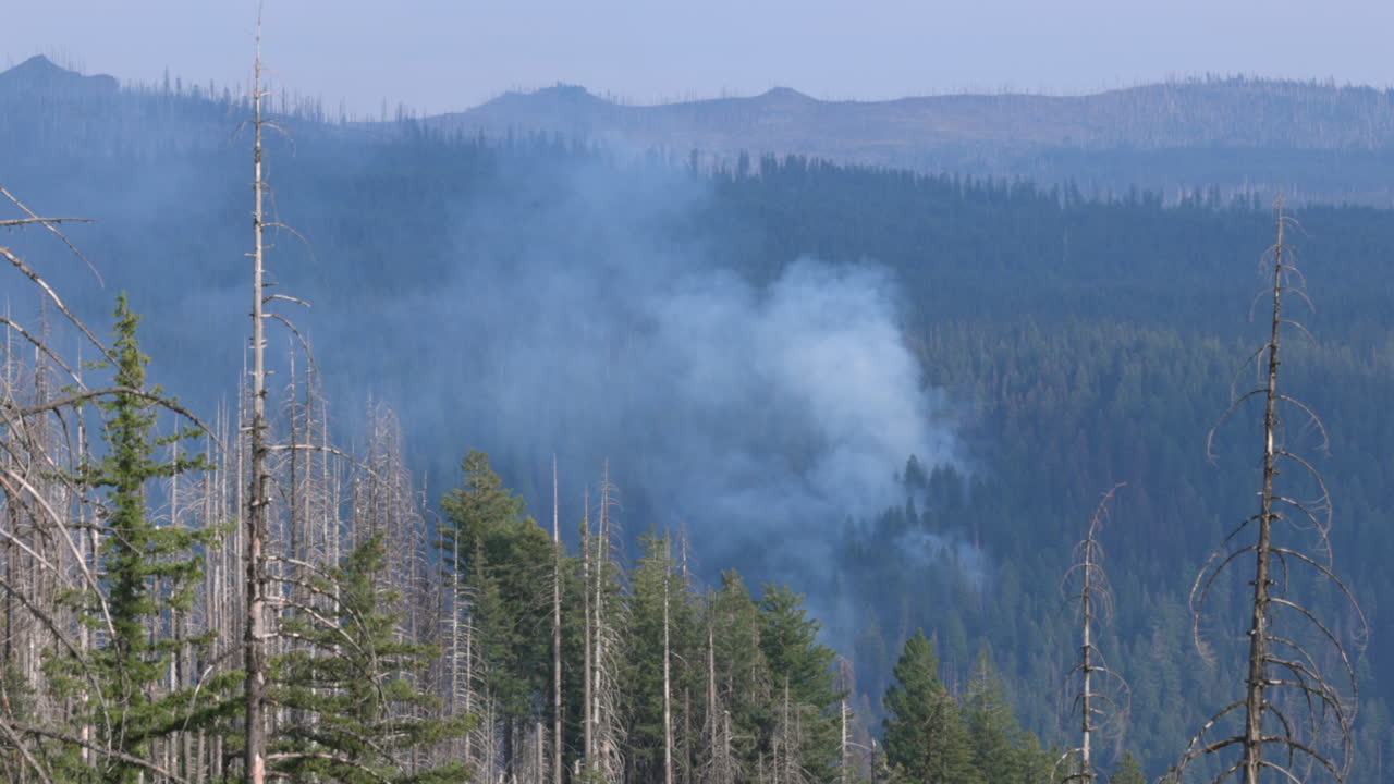 View of the Bessie Fire in the Southern Oregon Cascades 2025