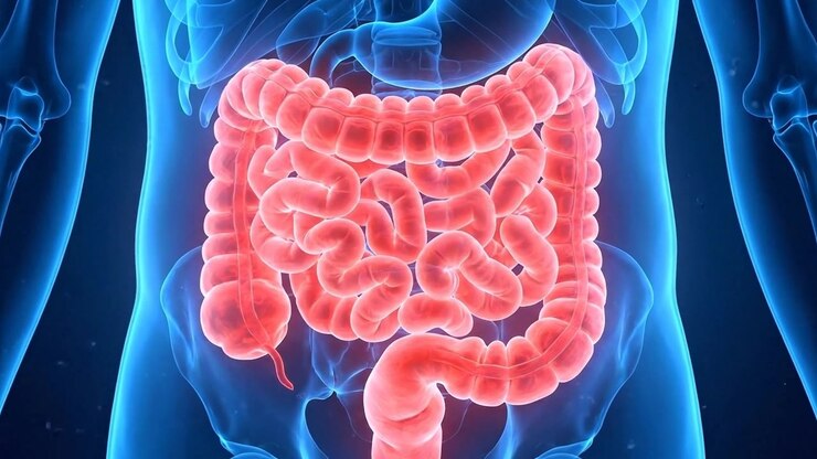 Digital visualization of digestive tract