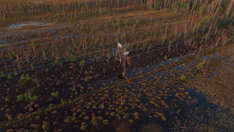 Circular-drone-shot-captures-wooden-watch-tower-in-overgrown-lake-during-autumn-morning-hours