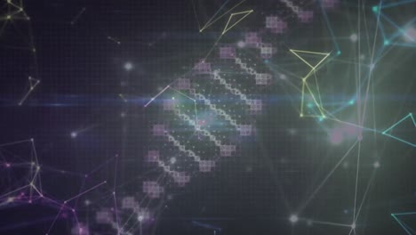 연결 네트워크를 통해 dna 가닥의 애니메이션