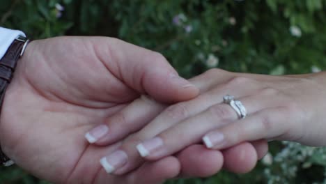 rack focus to a close-up of bride and groom holding hands against a green garden background