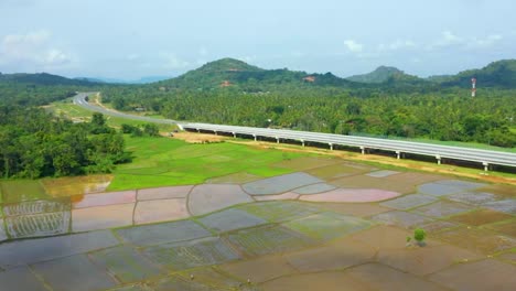 Schnellstraßen-Drohnenaufnahmen,-Transportindustrie,-Wirtschaftsentwicklung,-Straßen-Durch-Wald,-Transport-Und-Reisen,-Autobahn,-Reisfeld,-Sri-Lanka