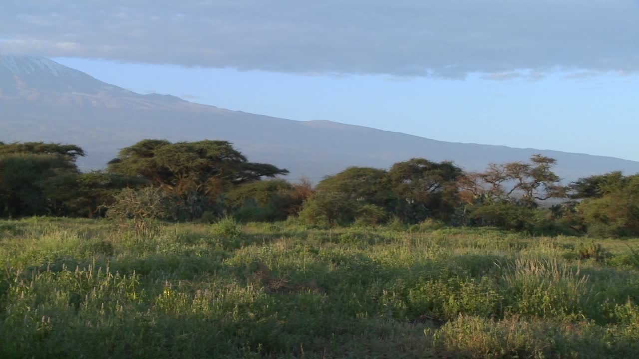 Una splendida panoramica mattutina del Monte Kilimanjaro in Tanzania, Africa Orientale