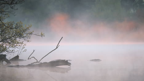 haunted lake where people get murdered