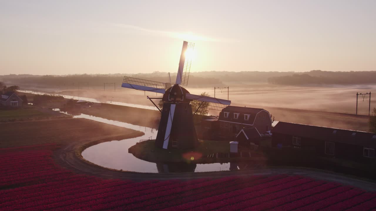 Vista aerea di Noordwijkerhout con Hogeveensemolen, tulipani, mulino a vento, che mostra un paesaggio rurale panoramico nei Paesi Bassi.