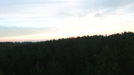 Copas-De-Los-árboles-Del-Bosque-Al-Atardecer-Avanzando-Lentamente-Toma-Aérea