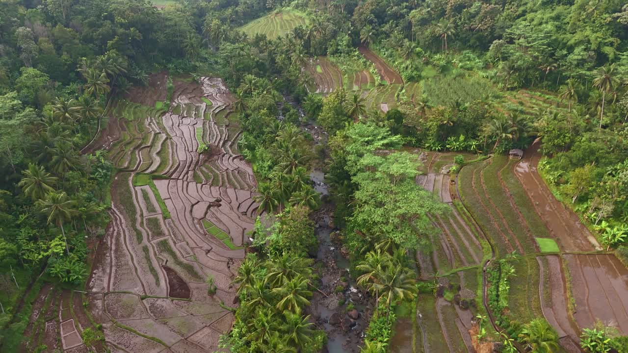 Aerial view of nature rural landscape. Scenery of rice field with river flowing in the middle.