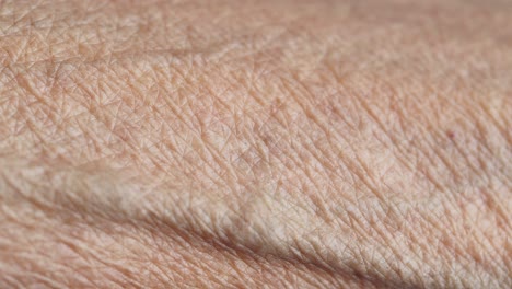 wrinkled hand skin texture