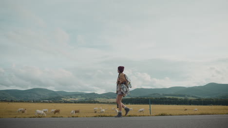 Explorer-walking-on-road-by-cows-grazing-in-farm