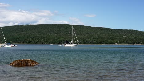 sailboat in marina anchores as people play in water around it on beautiful blue sky day