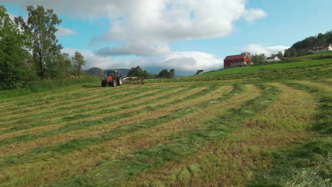 tractor with wheel rake collecting fodder in rows on field, low drone flight