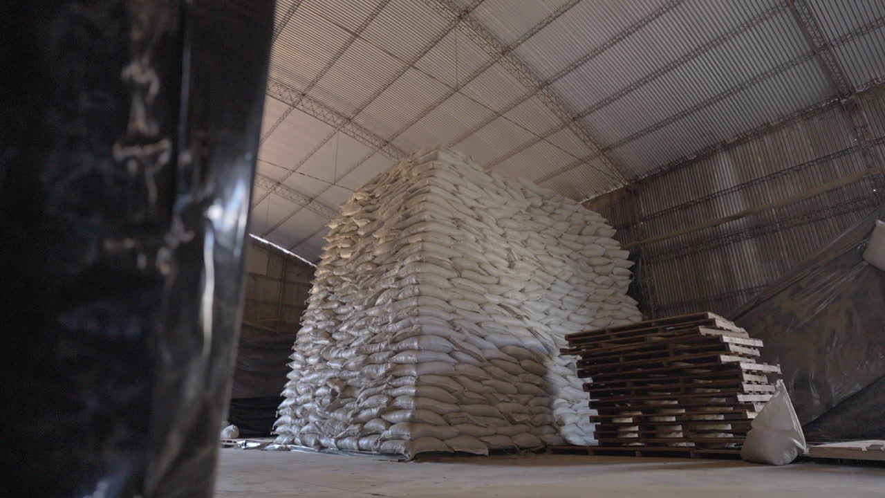 Bales of Yerba Mate Stacked in Warehouse, Organic Herbal Product Distribution