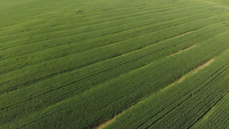 General-view-of-countryside-landscape,-drone-view