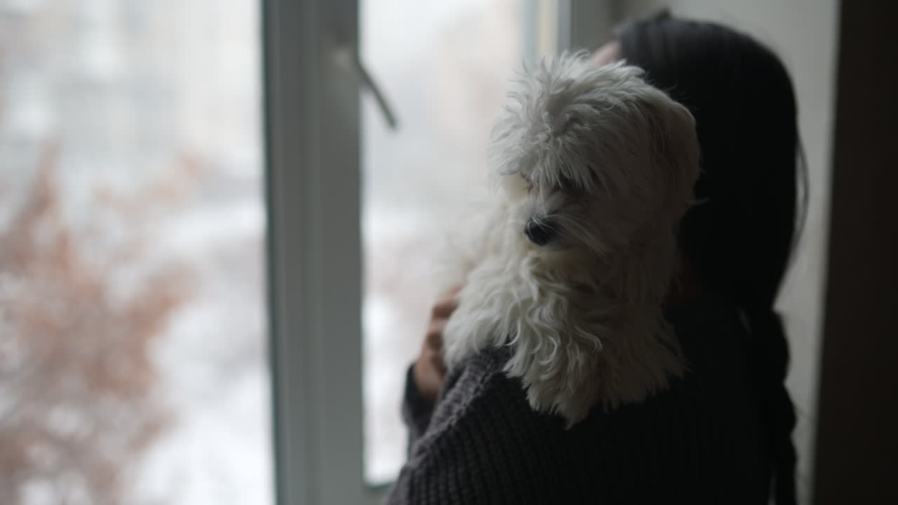 겨울에 창문 에 몰테스 개를 들고 있는 여자