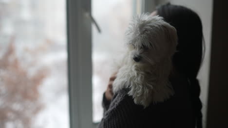 mujer sosteniendo un perro maltés junto a la ventana en invierno