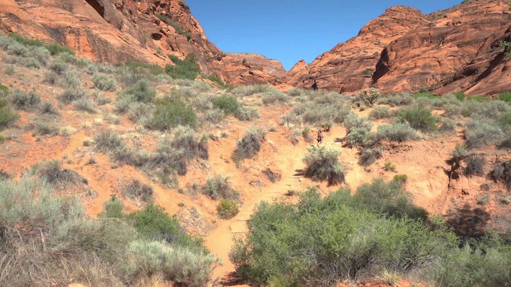 vrouwelijke wandelaar op droog pad in woestijnlandschap van utah