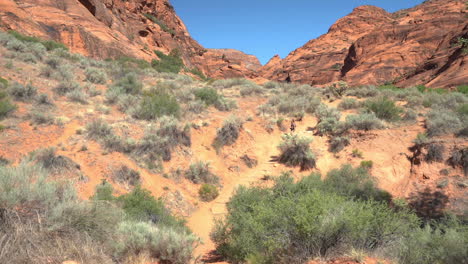 female hiker on dry path in desert landscape of utah