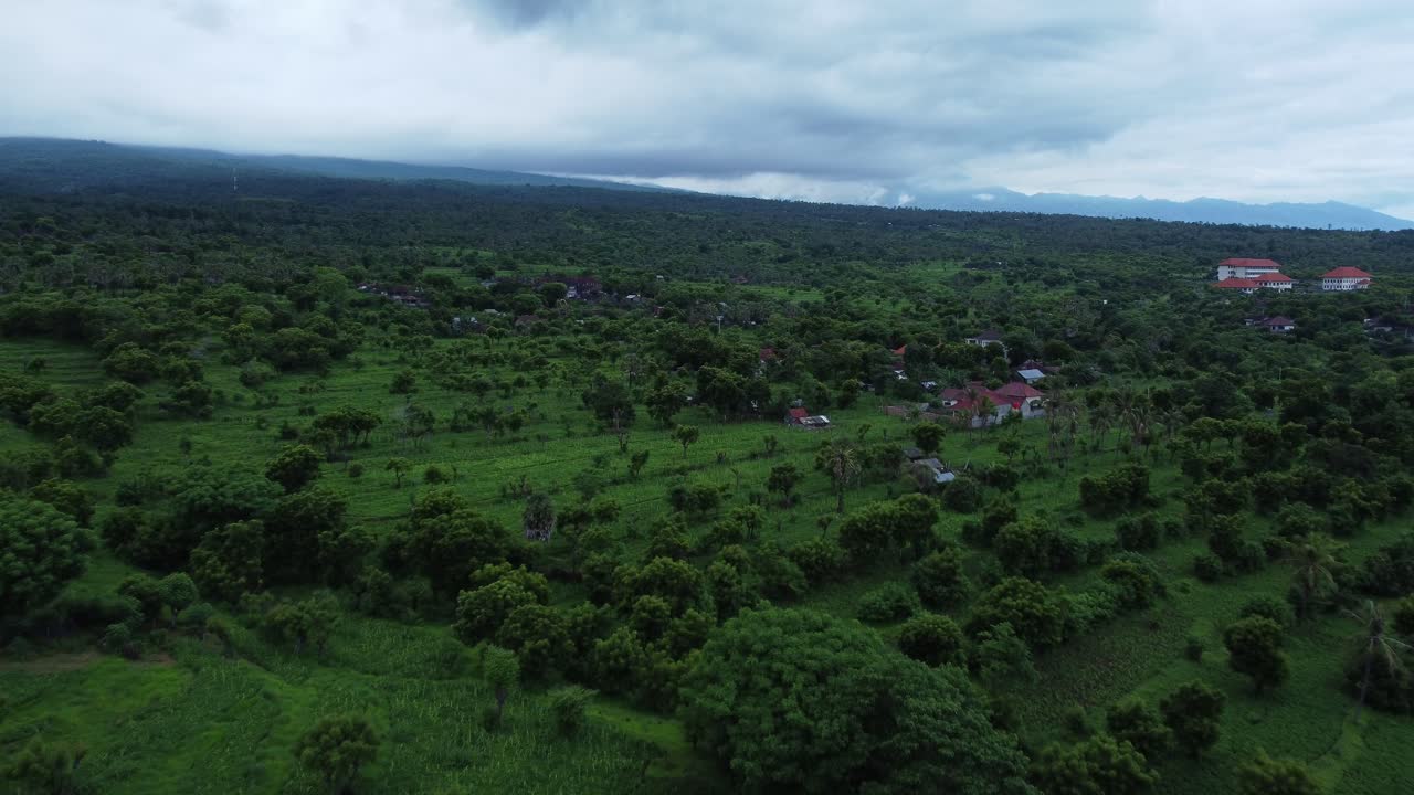 drone vuela sobre la vista aérea en el pueblo tropical, bali