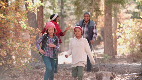 grandparents hiking in a forest with grandchildren