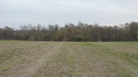 flying with drone between straw roll in autumn season with beautiful yellow agricultural field and forest with red golden trees leaf