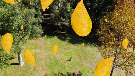 animación de hojas de otoño naranjas que caen en el parque