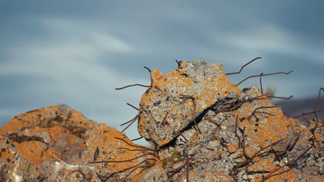 Twisted-metal-fittings-stick-out-of-the-concrete-after-the-explosion