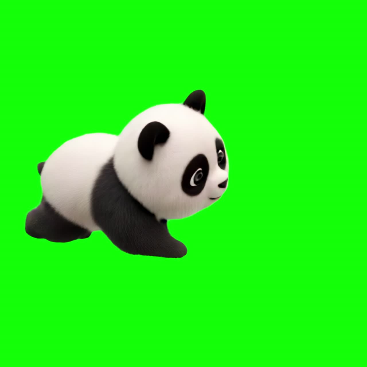 Animazione di un simpatico panda animato, video 4K trasparente, green screen