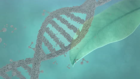 animación de cadena de adn, conexiones y procesamiento de datos sobre hojas y nubes azules