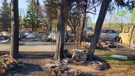 devastation with burnt trees, debris, and damaged cars after a huge fire