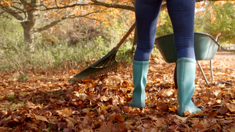 Primer-Plano-De-Una-Mujer-Rastrillando-Hojas-De-Otoño-Filmada-En-Cámara-Lenta