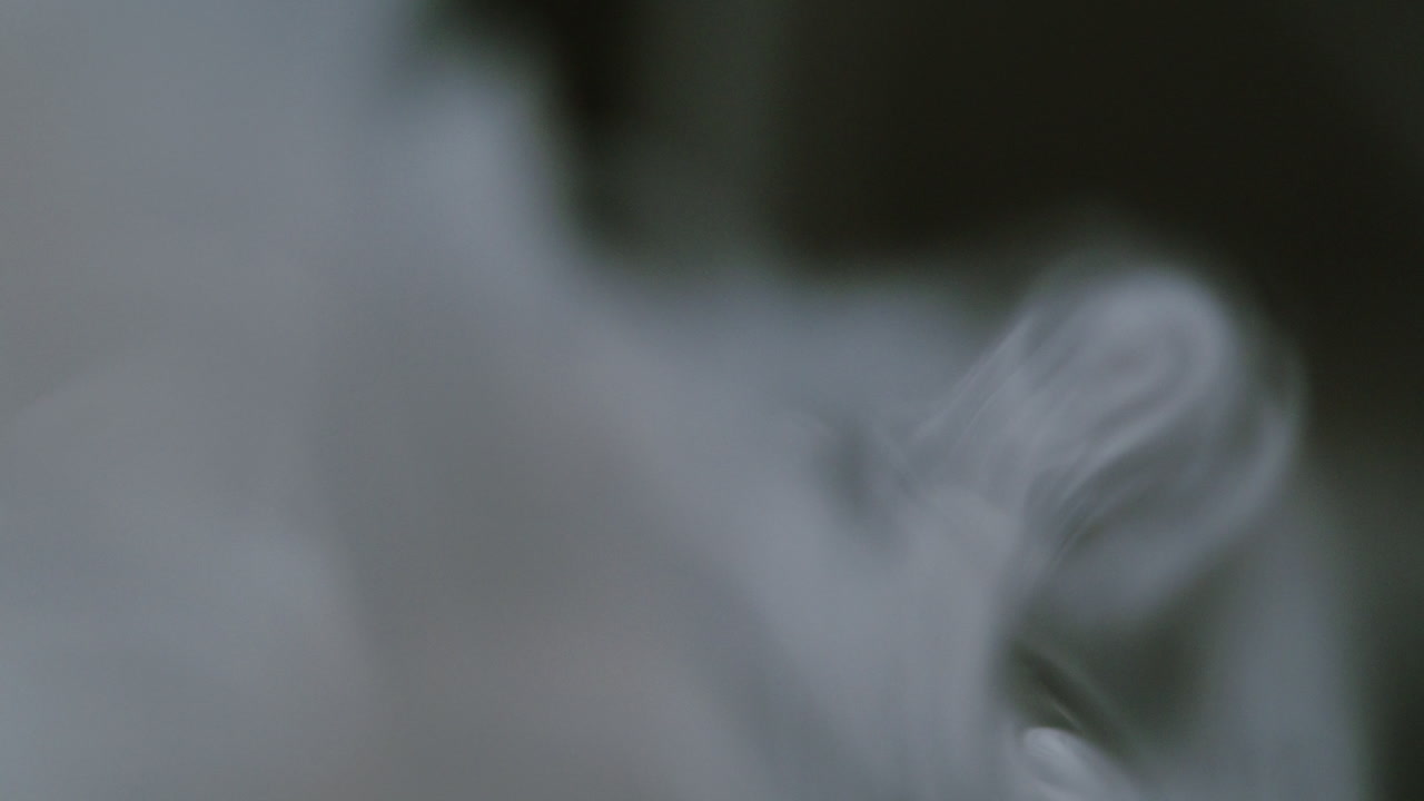 Slow Motion White Smoke Rising and Dissipating on Black Background