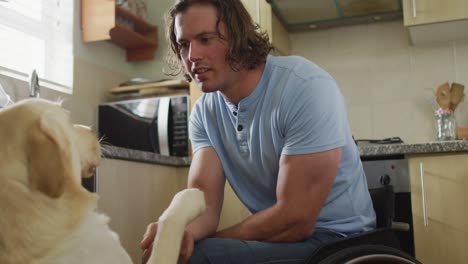 happy caucasian disabled man in wheelchair playing with pet dog in kitchen