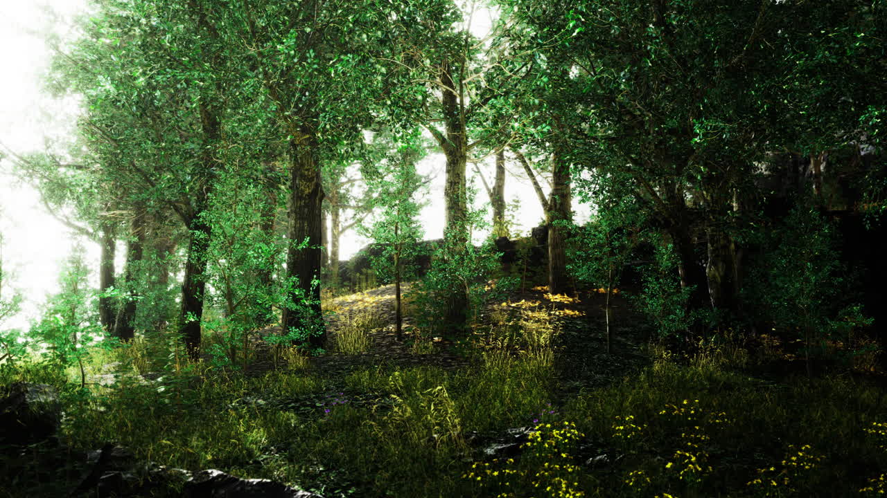 Lush green forest filled with sunlight and vibrant wildflowers at dawn