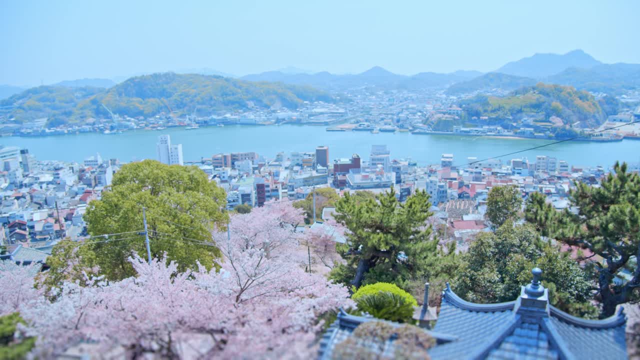 봄에 센코지 공원에서 볼 수 있는 오노미치 수로와 도시 풍경, 체리 꽃과 세토 내륙 해.