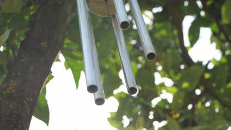 Sound-Dream-Catcher-With-Glowing-Sunbeam-And-Verdant-Greenery-Background