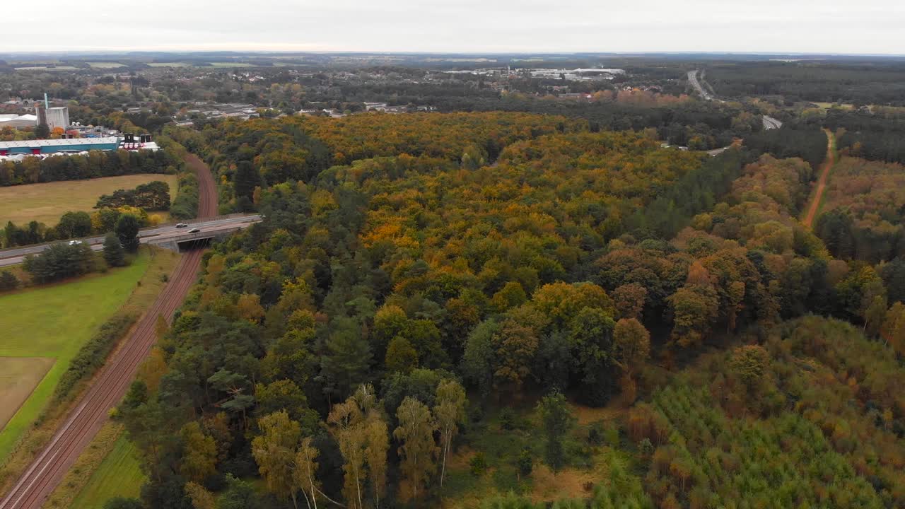 bosque de thetford con vía férrea y carretera en brandon, inglaterra - drone aéreo volando hacia atrás