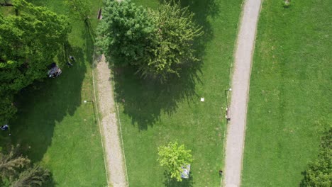aerial botanical park
